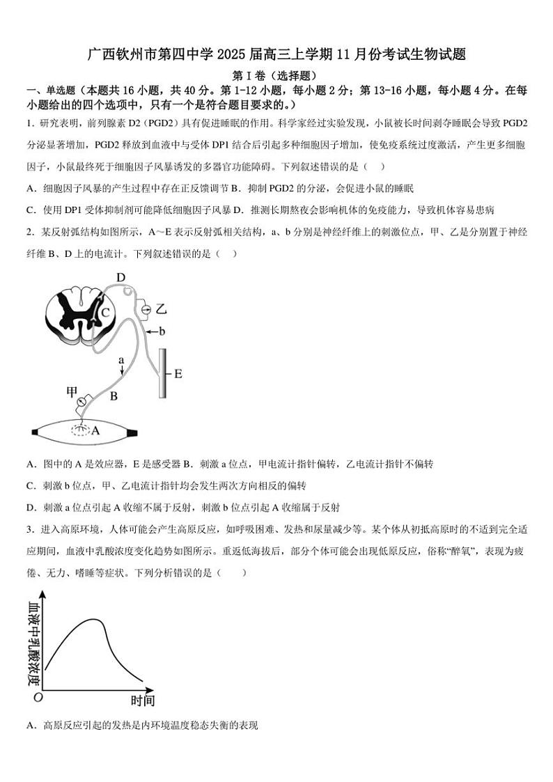 2024～2025学年广西钦州市第四中学高三(上)11月考试生物试卷(含答案)第1页