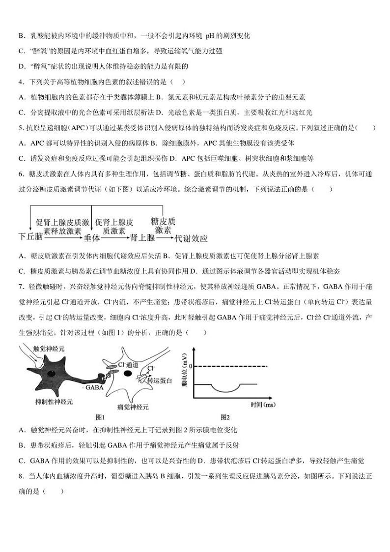 2024～2025学年广西钦州市第四中学高三(上)11月考试生物试卷(含答案)第2页