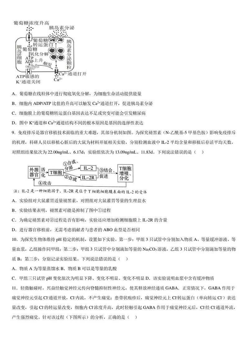 2024～2025学年广西钦州市第四中学高三(上)11月考试生物试卷(含答案)第3页