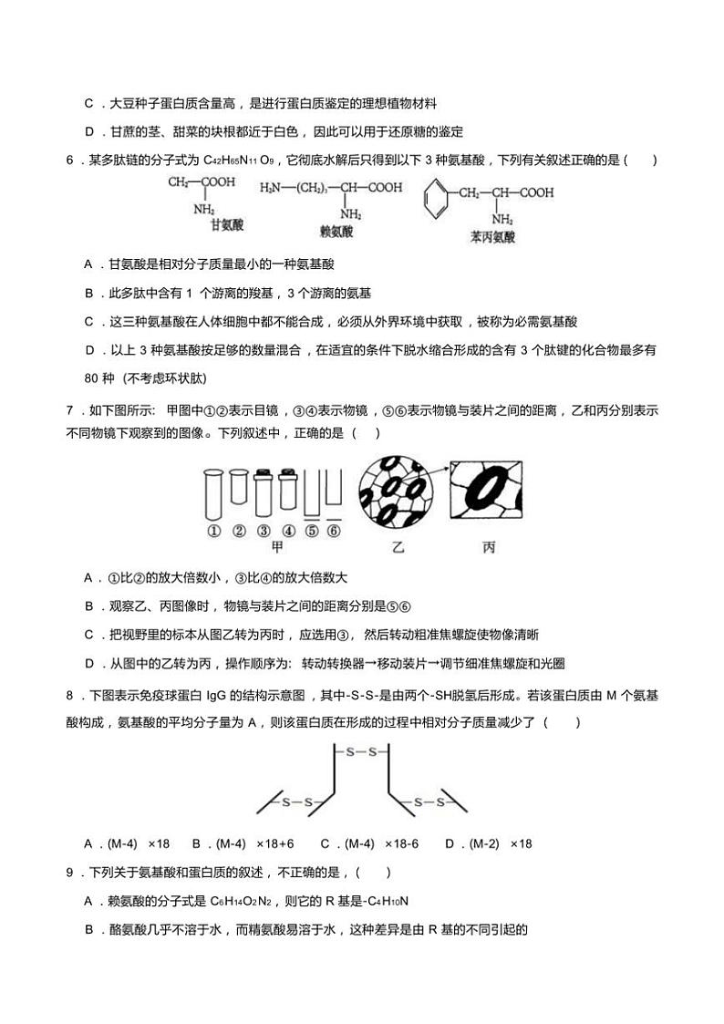 2024～2025学年四川省眉山市仁寿县高一(上)期中校际联考生物试卷(含答案)第2页
