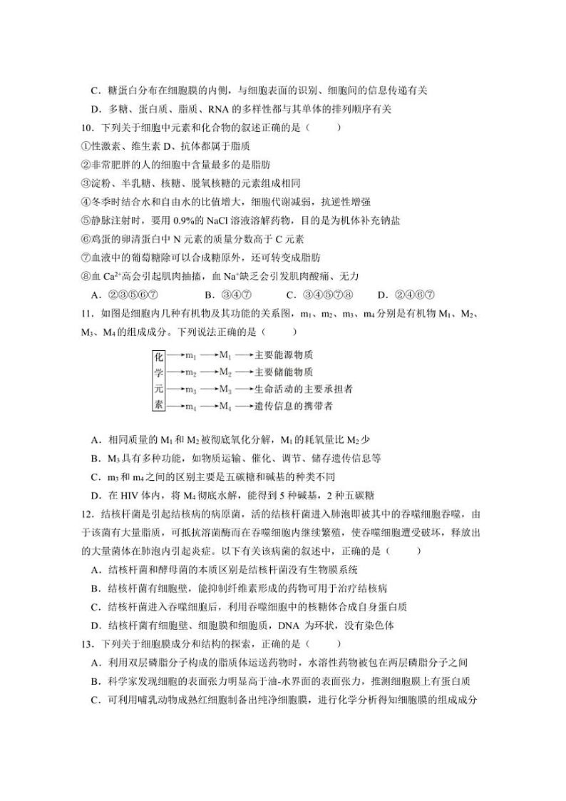 2024～2025学年四川省成都市青羊区石室中学高一(上)12月期中生物试卷(含答案)第3页