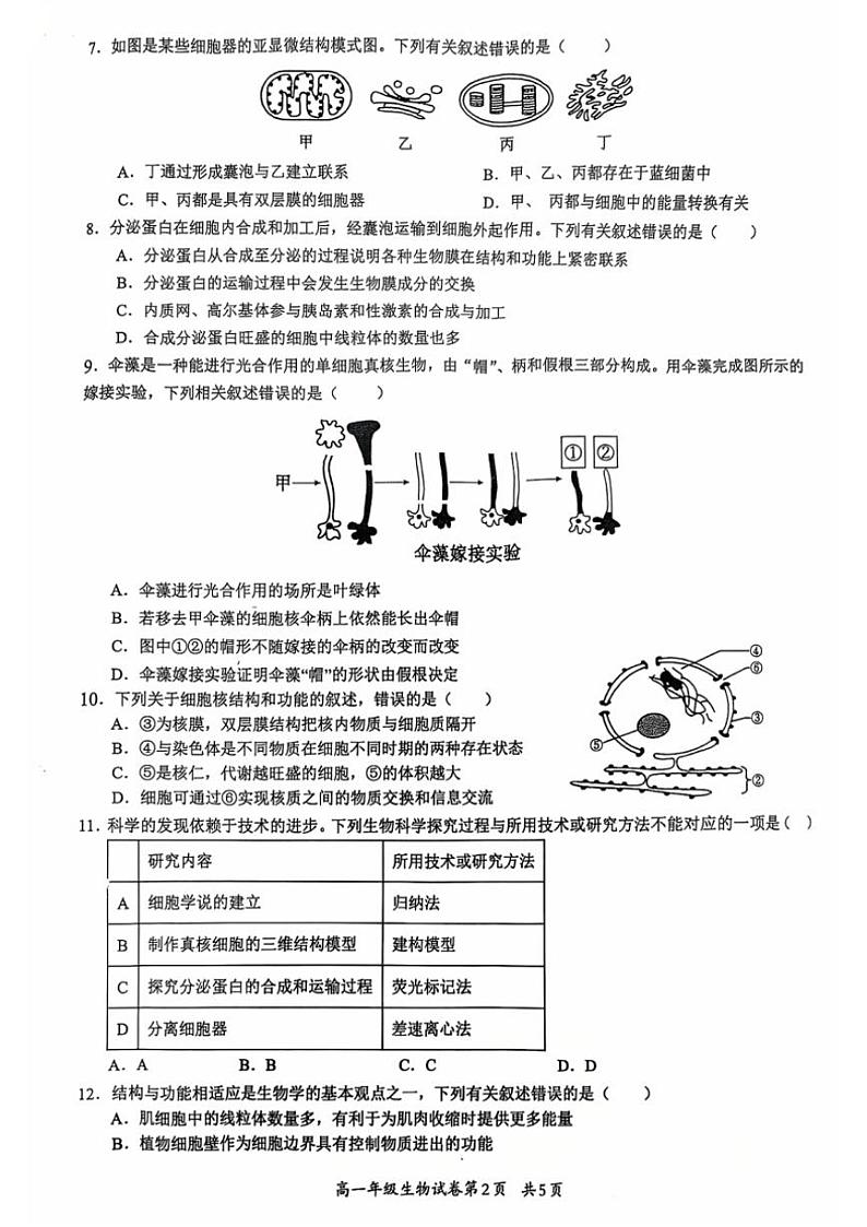 2024～2025学年贵州省部分学校高一(上)第二次联考生物试卷(含答案)第2页