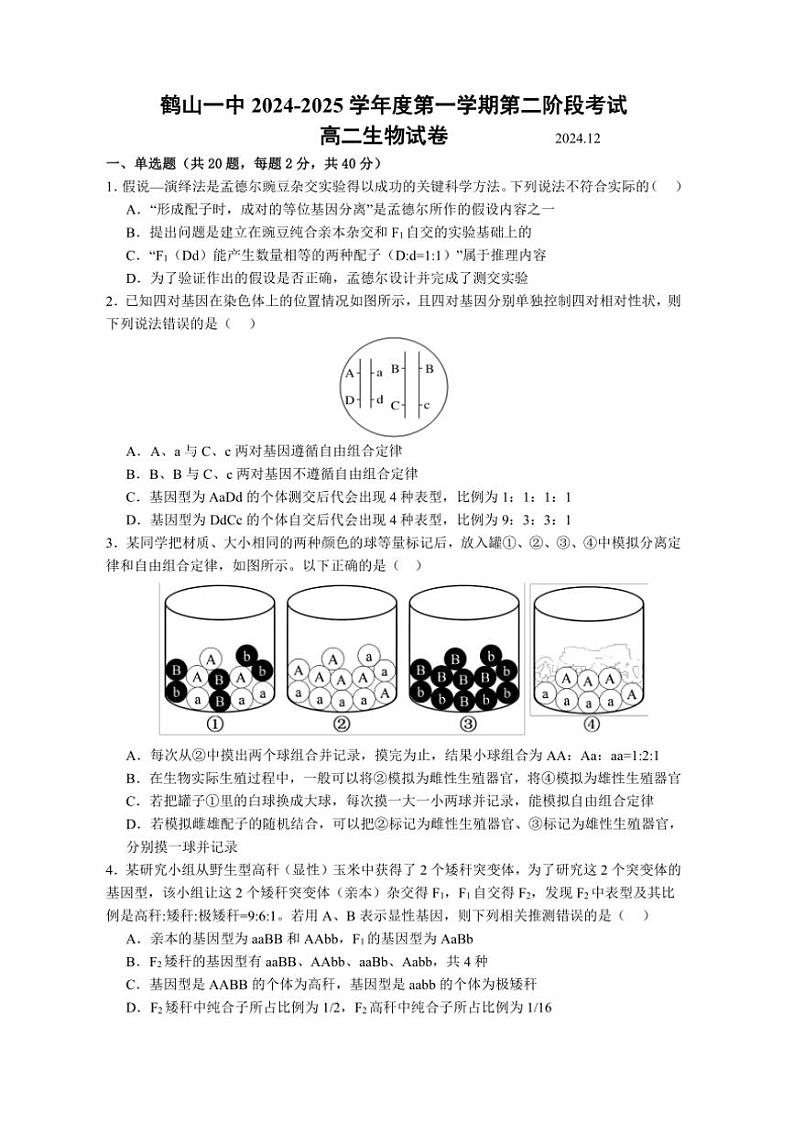 2024～2025学年广东省江门市鹤山市第一中学高二(上)12月月考生物试卷(含答案)第1页