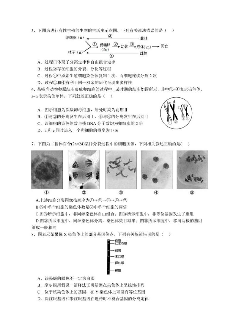 2024～2025学年广东省江门市鹤山市第一中学高二(上)12月月考生物试卷(含答案)第2页