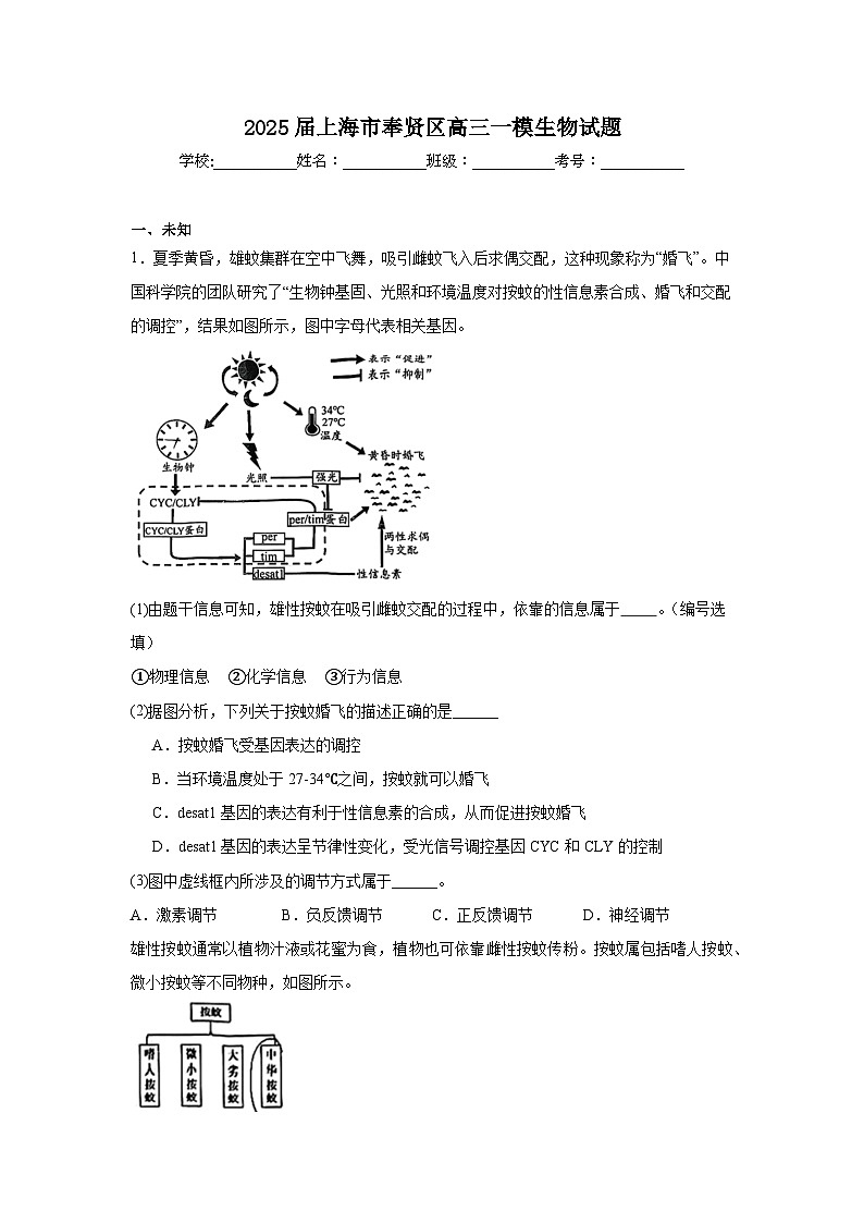 2025届上海市奉贤区高三一模生物试题第1页