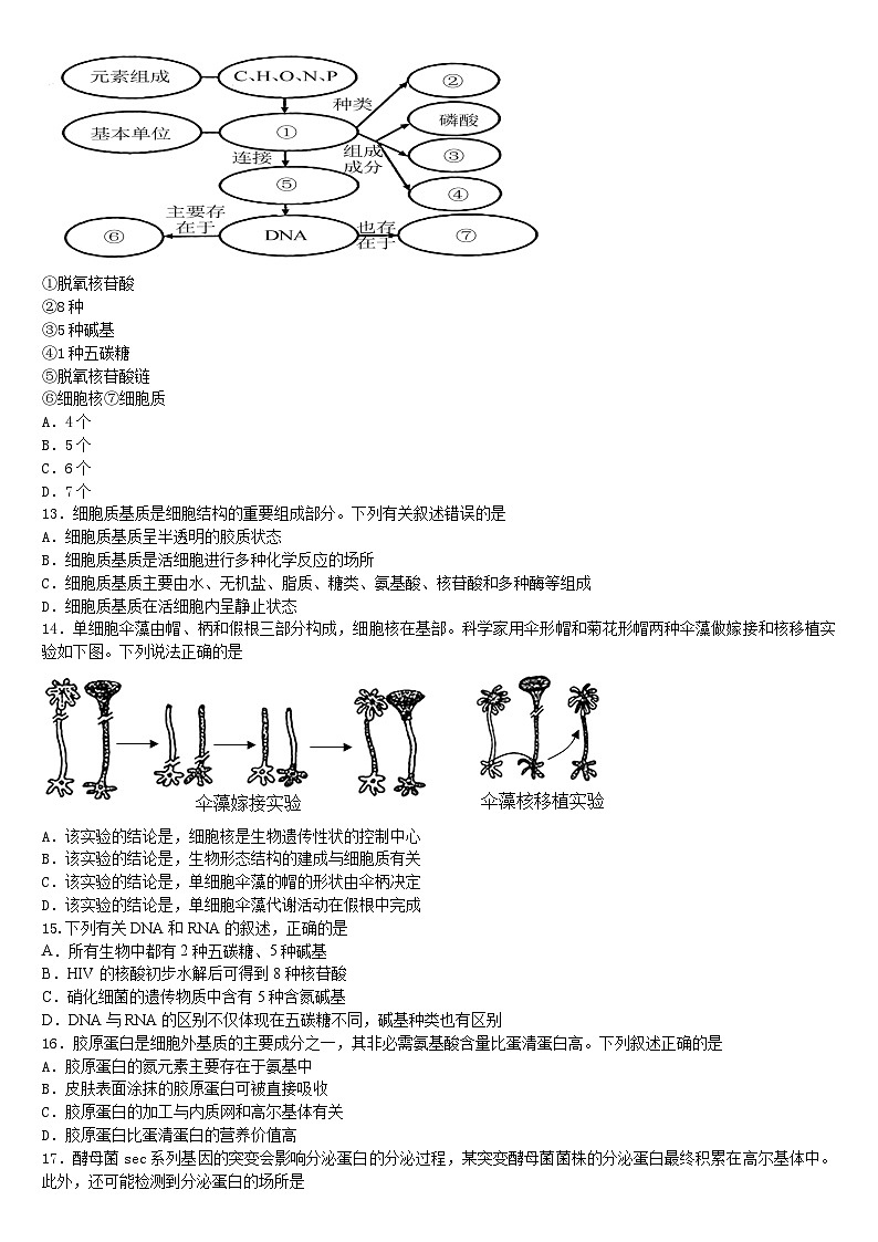 黑龙江省鹤岗市萝北县鹤岗市宝泉岭高级中学2024-2025学年高一上学期12月月考生物试题第2页