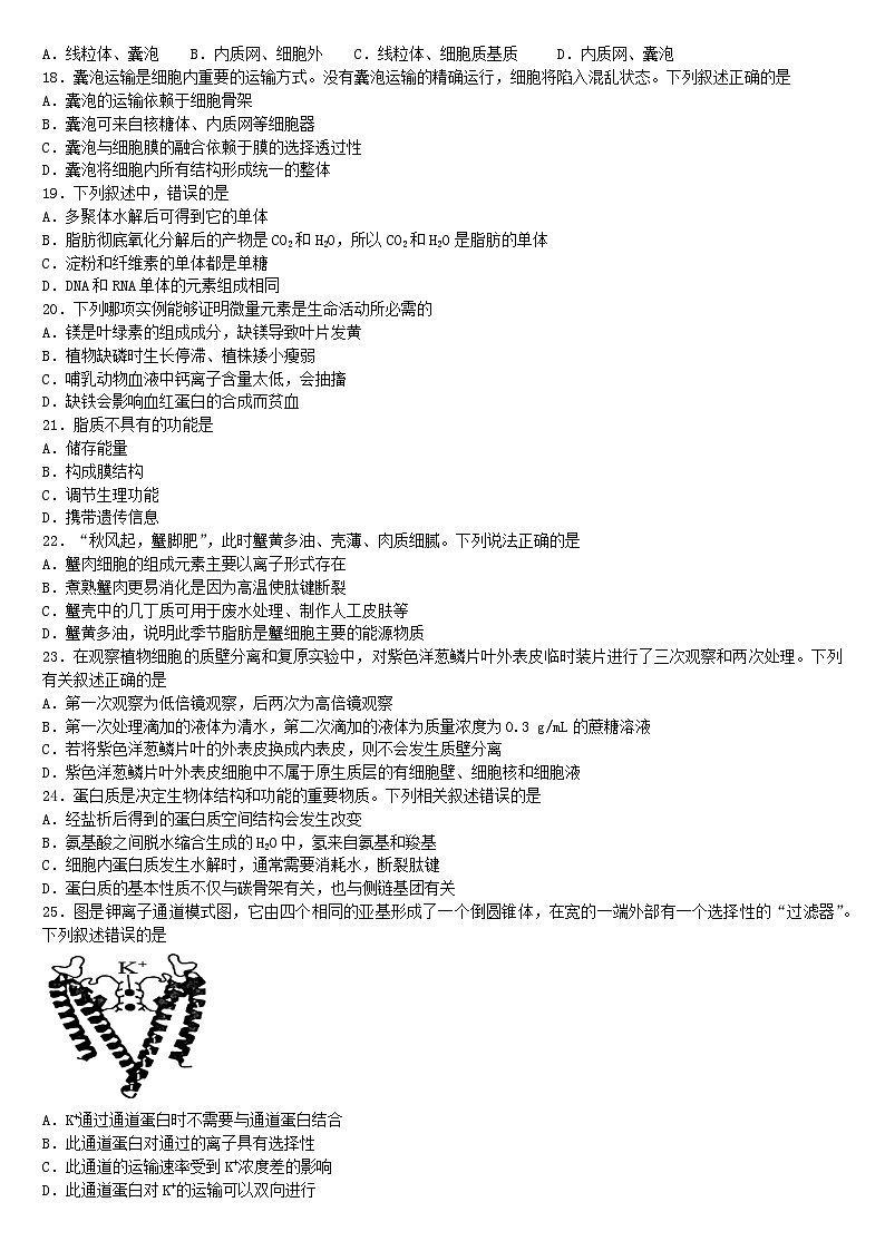 黑龙江省鹤岗市萝北县鹤岗市宝泉岭高级中学2024-2025学年高一上学期12月月考生物试题第3页