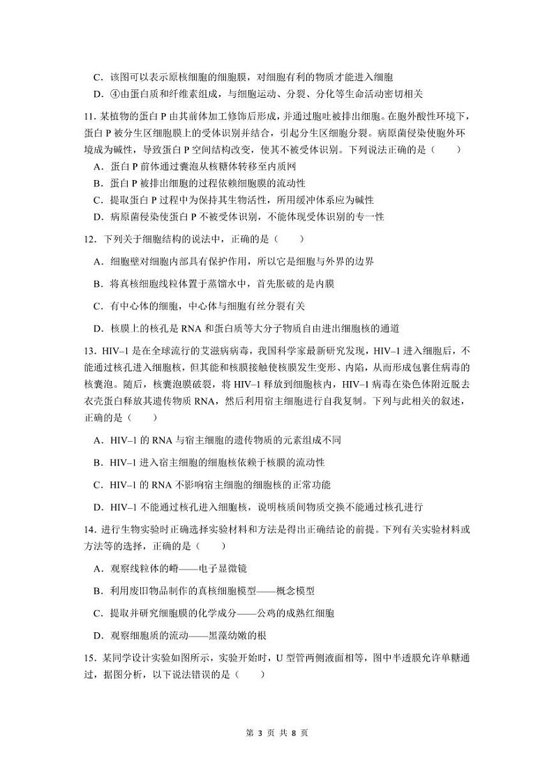 广东省东莞市松山湖东莞中学2024-2025学年高一上学期12月第二次段考生物试题第3页