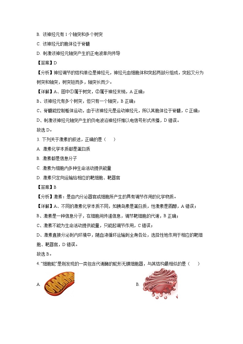 2024~2025学年浙江省杭州市北斗联盟高二上学期期中联考生物试卷(解析版)第2页