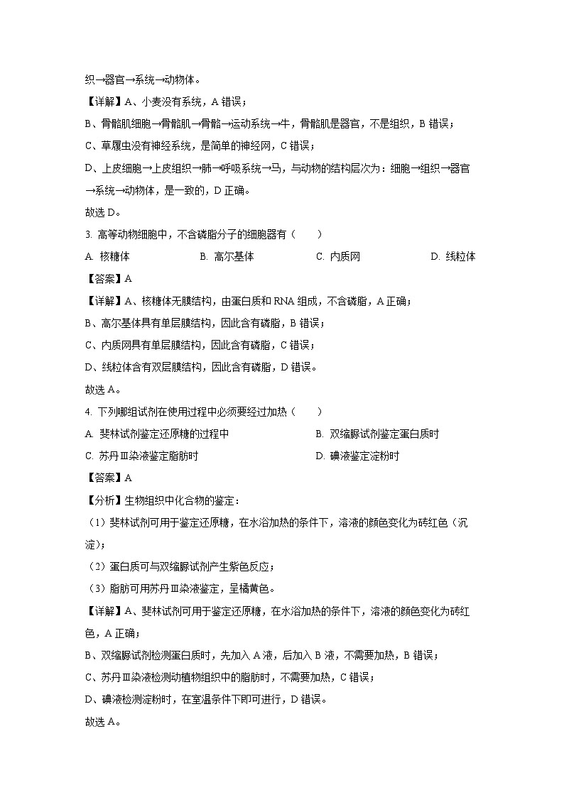 2024~2025学年河南省周口市川汇区周口恒大中学高一上学期开学生物试卷(解析版)第2页