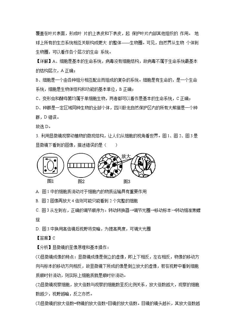 2024~2025学年安徽省宿州市省示范高中高一上学期期中教学质量检测生物试卷(解析版)第2页