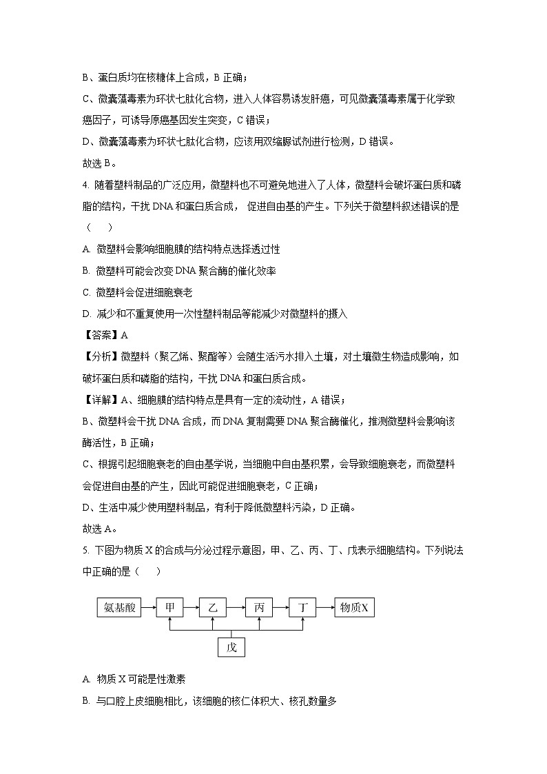 2024~2025学年黑龙江省龙东联盟高三上学期11月月考生物试卷(解析版)第3页