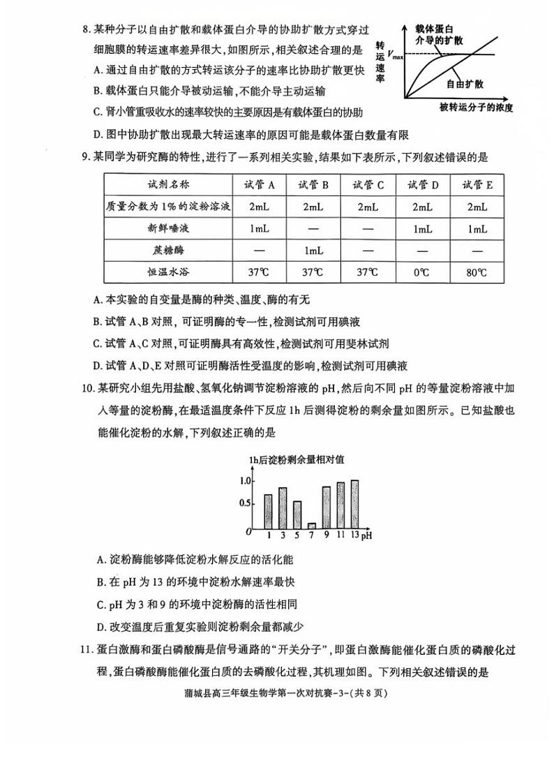 2024～2025学年陕西省渭南市蒲城县高三(上)第一次对抗赛生物试卷(无答案)第3页