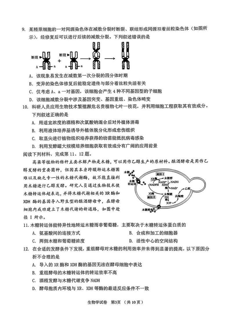 2024～2025学年浙江省绍兴市嵊州市高三(上)12月选考适应性测试生物试卷(含答案)第3页