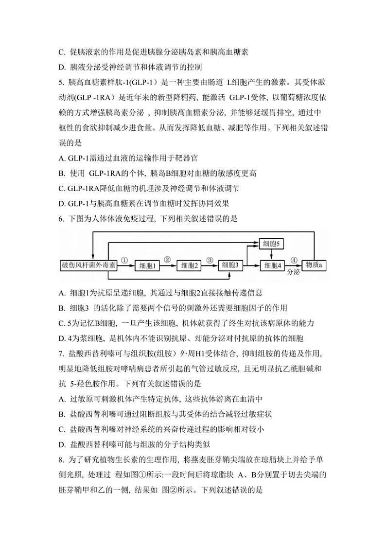 2024～2025学年安徽省阜阳市第三中学高二(上)12月期中生物试卷(含答案)第3页