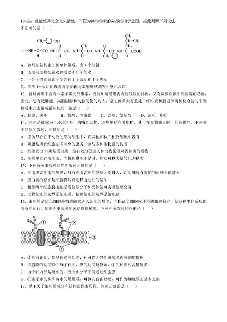 2024～2025学年广东省深圳市聚龙科学中学教育集团高一(上)12月第二次段考生物试卷(含答案)第3页