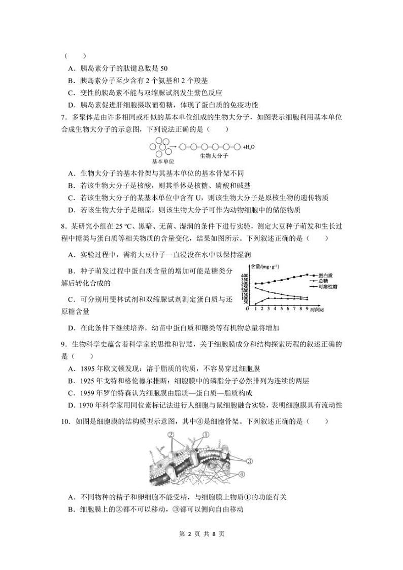 2024～2025学年广东省东莞市东莞中学高一(上)第二次检测(期中)生物试卷(含答案)第2页