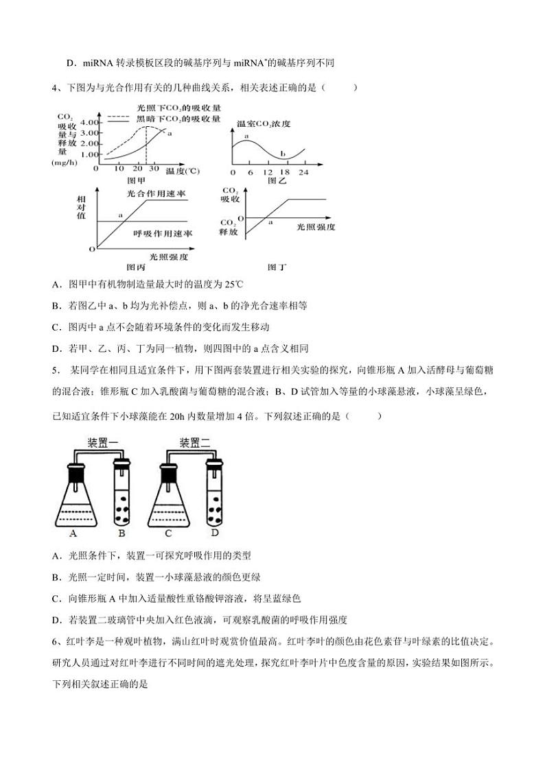 2024～2025学年甘肃省天水市第一中学高二(上)12月月考生物试卷(含答案)第2页