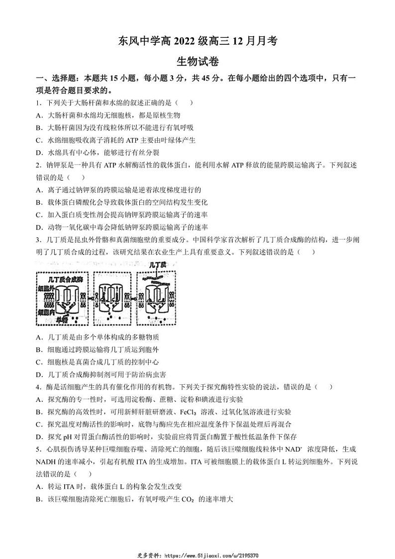 2024～2025学年四川省南充市东风学校高三(上)12月月考生物试卷(含答案)第1页