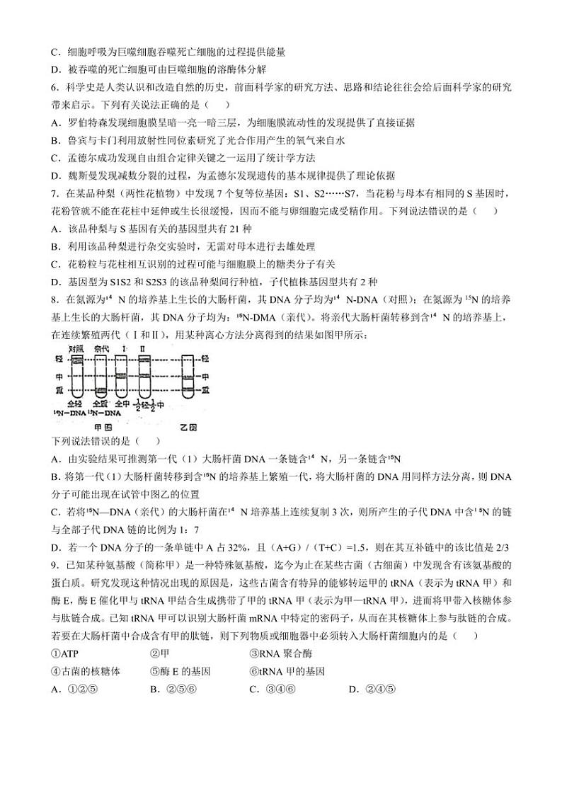 2024～2025学年四川省南充市东风学校高三(上)12月月考生物试卷(含答案)第2页