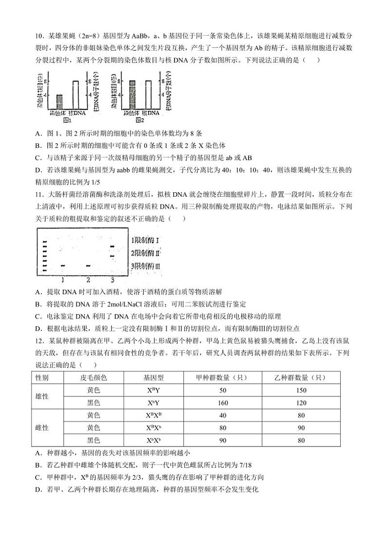 2024～2025学年四川省南充市东风学校高三(上)12月月考生物试卷(含答案)第3页