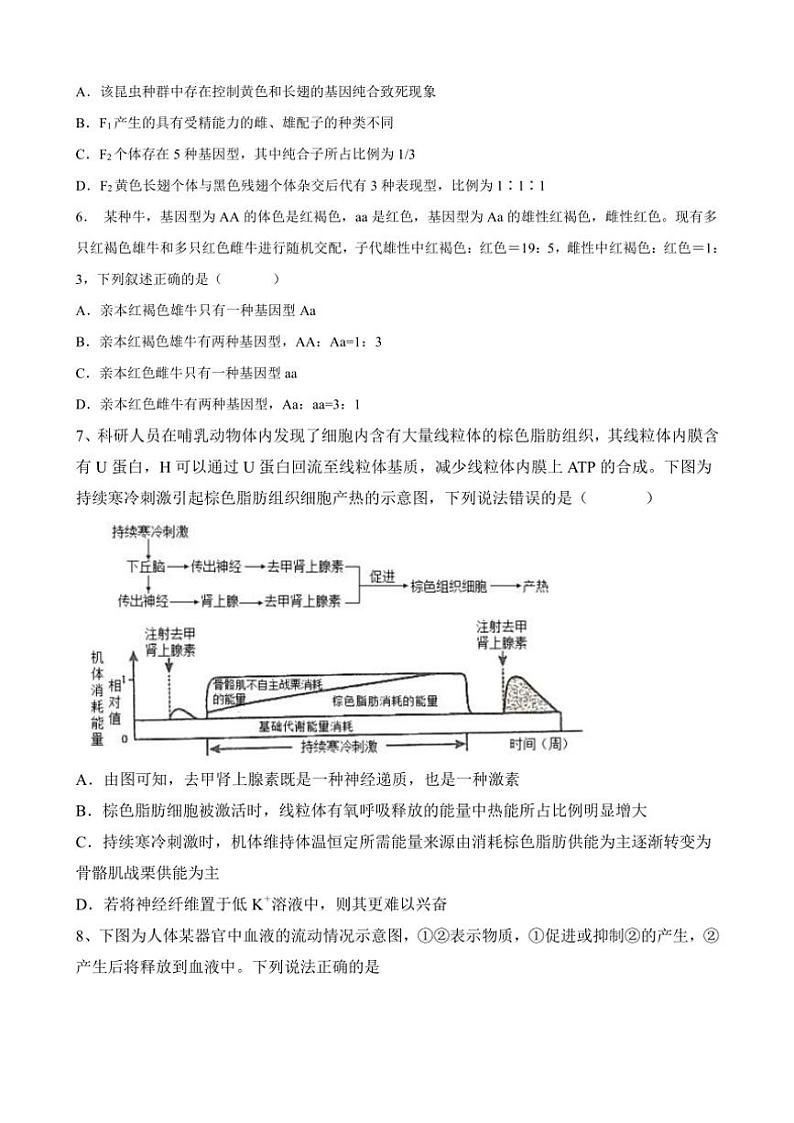 2024～2025学年甘肃省金昌市金川区金昌高中联考高二(上)12月月考生物试卷(含答案)第2页