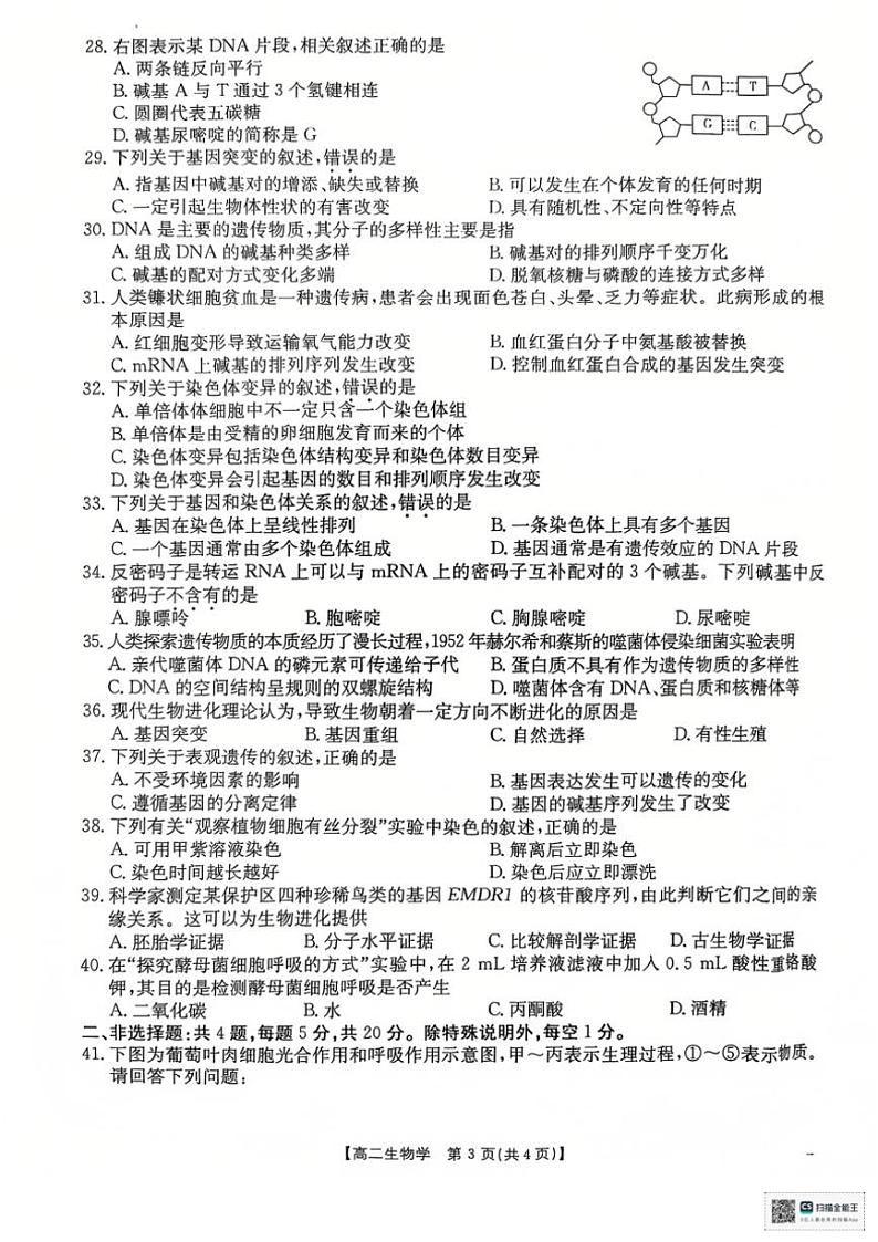 2024～2025学年江苏省高二(上)12月学业水平合格性考试调研生物试卷(含解析)第3页