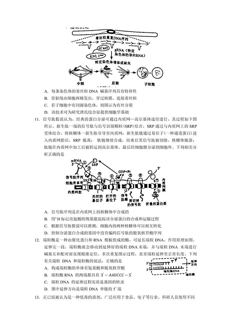 2025届四川省蓉城名校高三年级(上)第一次联合诊断性考试生物试卷(含答案)第3页