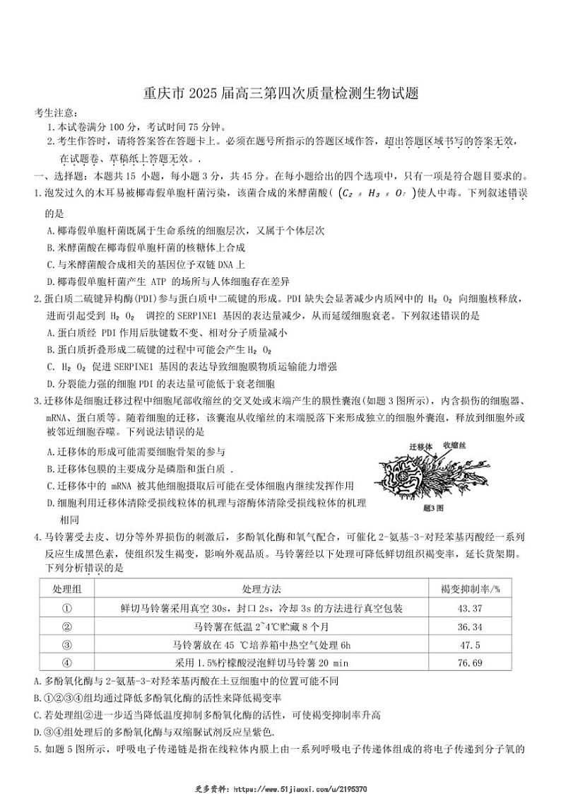 2025届重庆市高三(上)第四次质量检测生物试卷(含答案)第1页