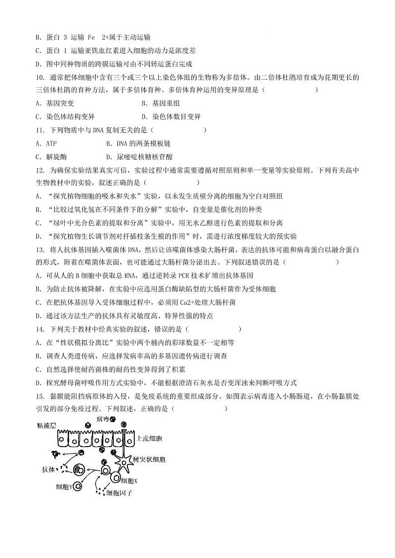 河南省驻马店市驿城区2024-2025学年高三上学期一模生物试题第3页