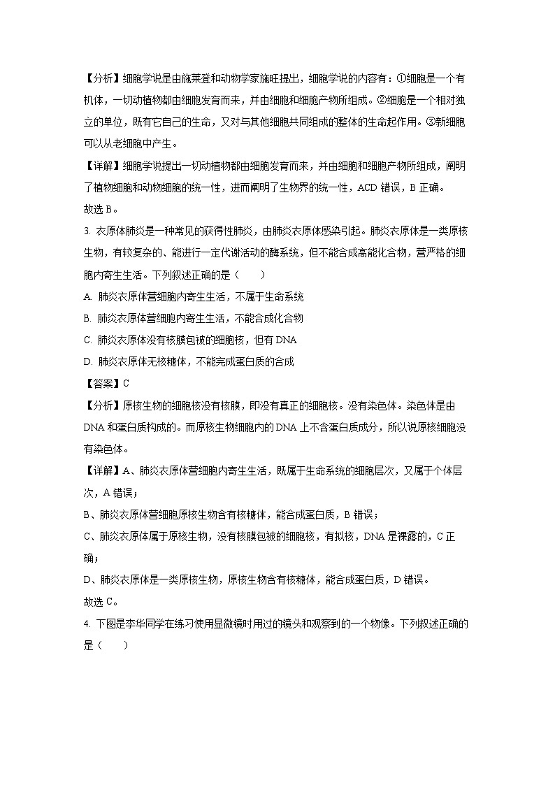 2024-2025学年湖北省高一(上)期中四校联考生物试卷(解析版)第2页