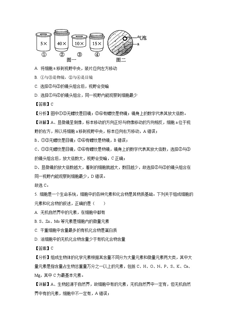 2024-2025学年湖北省高一(上)期中四校联考生物试卷(解析版)第3页