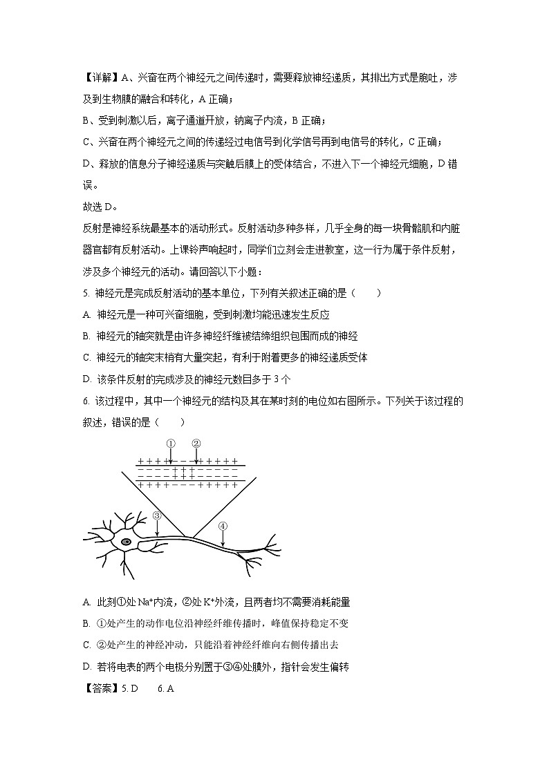 2024-2025学年浙江省宁波五校联盟高二(上)期中联考生物试卷(解析版)第3页