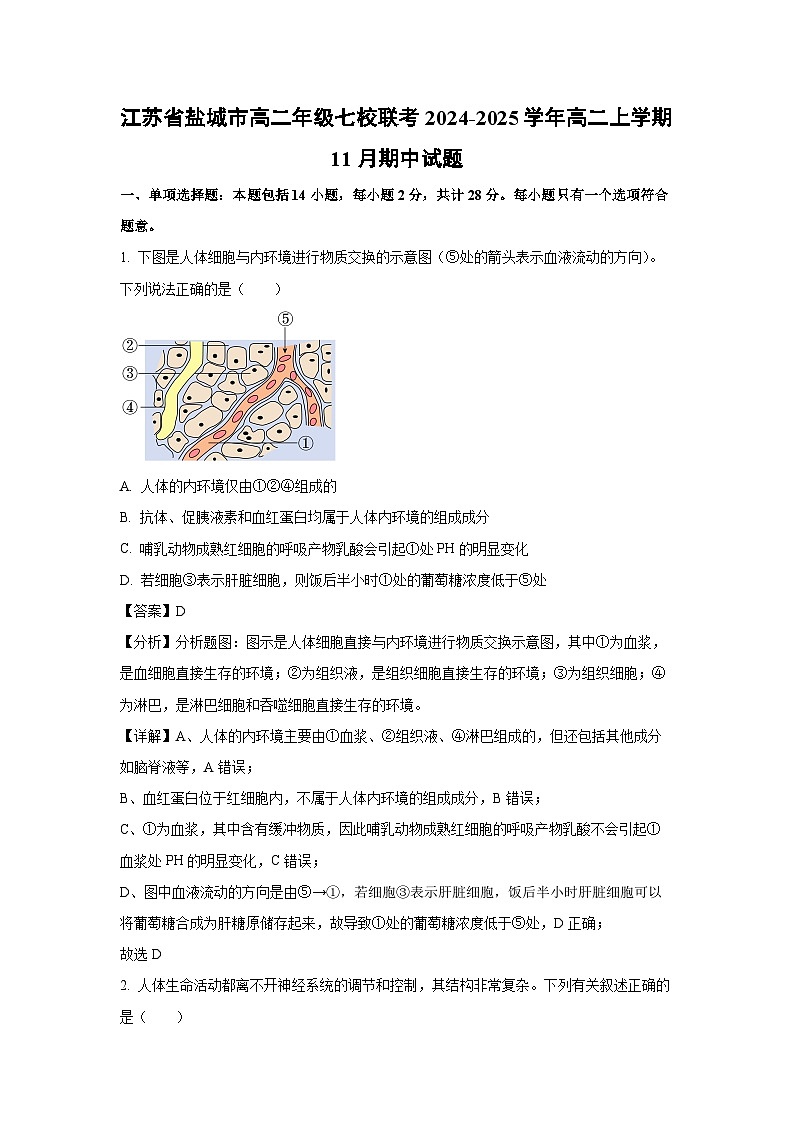 2024-2025学年江苏省盐城市高二年级七校联考高二(上)11月期中生物试卷(解析版)第1页