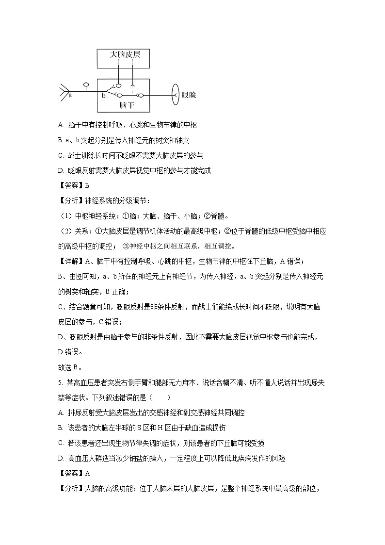 2024-2025学年江苏省无锡市江阴市六校高二(上)11月期中联考生物试卷(解析版)第3页