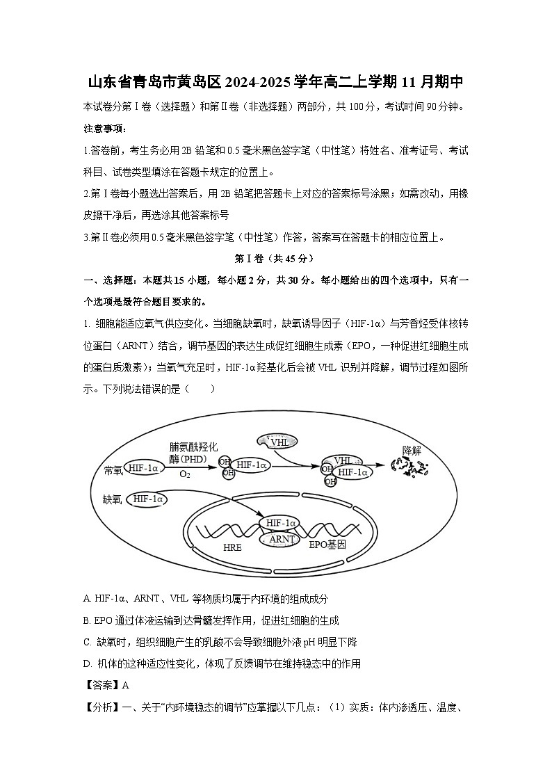 2024-2025学年山东省青岛市黄岛区高二(上)11月期中生物试卷(解析版)第1页
