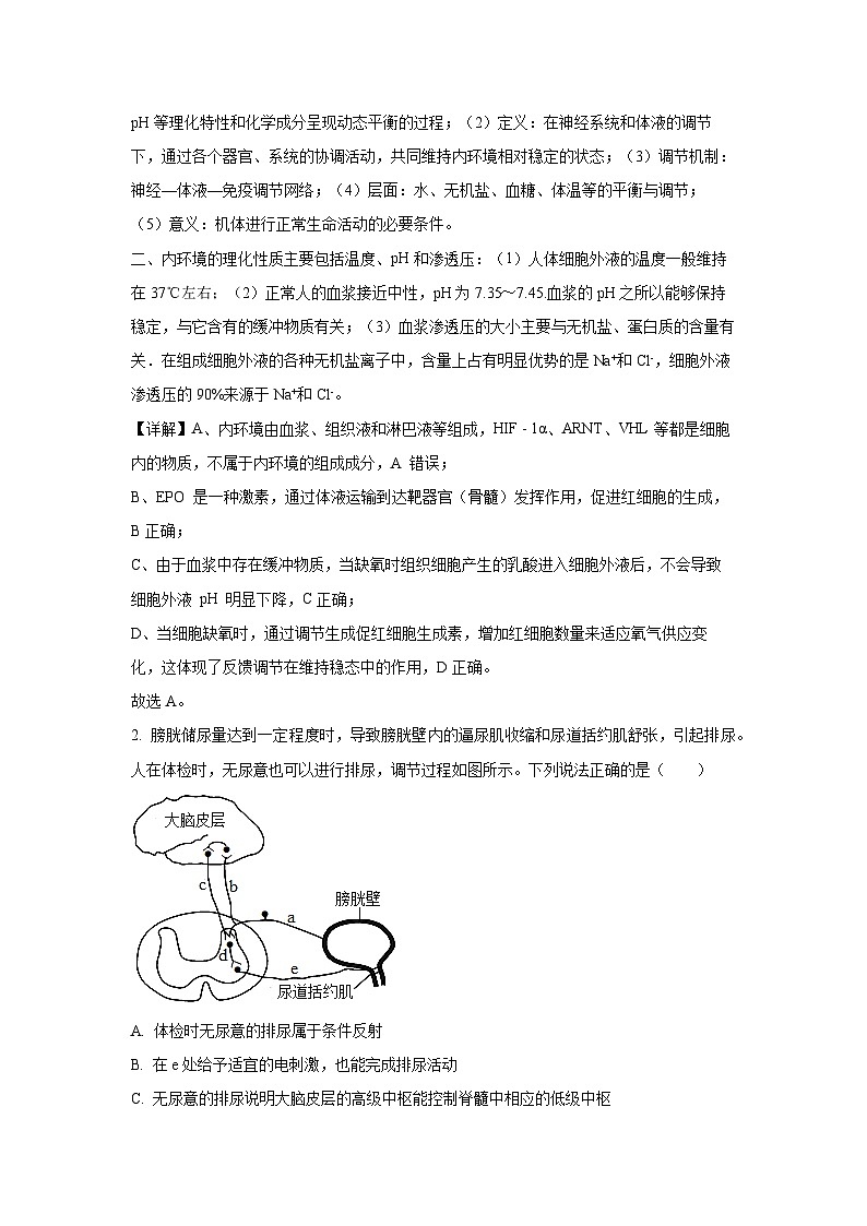 2024-2025学年山东省青岛市黄岛区高二(上)11月期中生物试卷(解析版)第2页