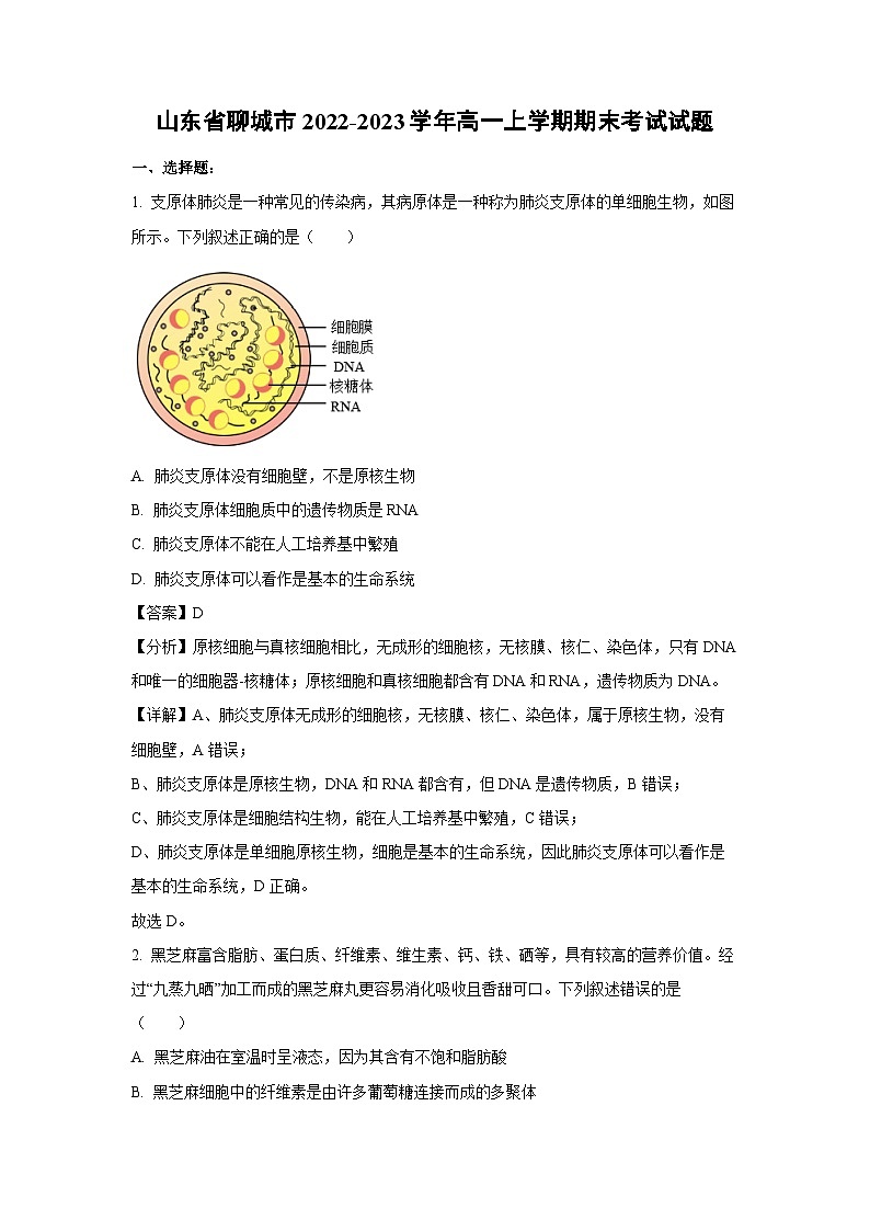 2022-2023学年山东省聊城市高一(上)期末考试生物试卷(解析版)第1页