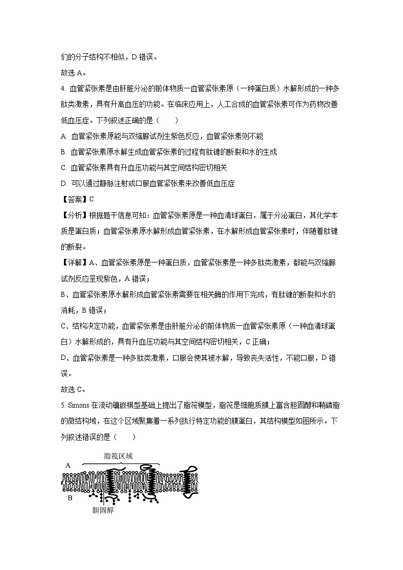 2022-2023学年山东省聊城市高一(上)期末考试生物试卷(解析版)第3页