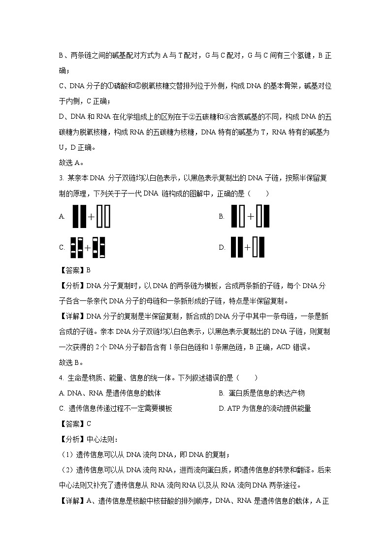 2024-2025学年安徽省六安市叶集区皖西当代职业中专学校高二(上)10月月考生物试卷(解析版)第2页