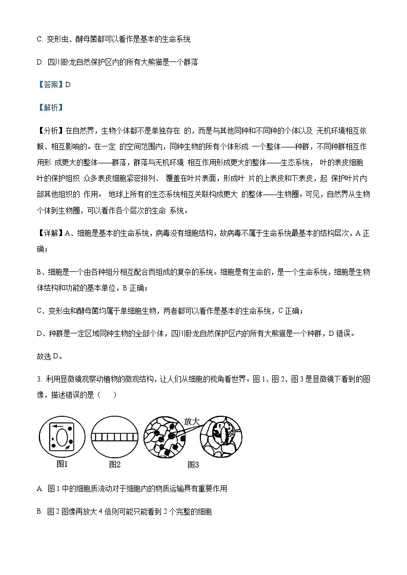 安徽省部分重点高中2024-2025学年高一上学期11月期中考试生物含答案第2页