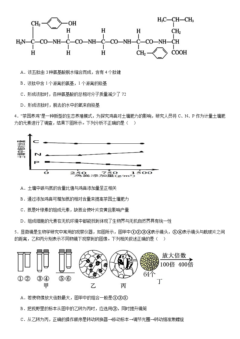 河南省顶级名校2024-2025学年高一上学期10月检测试题生物含答案第2页