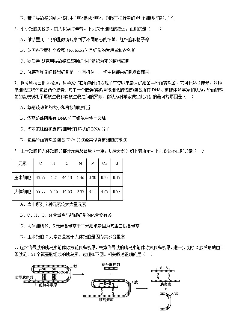 河南省顶级名校2024-2025学年高一上学期10月检测试题生物含答案第3页