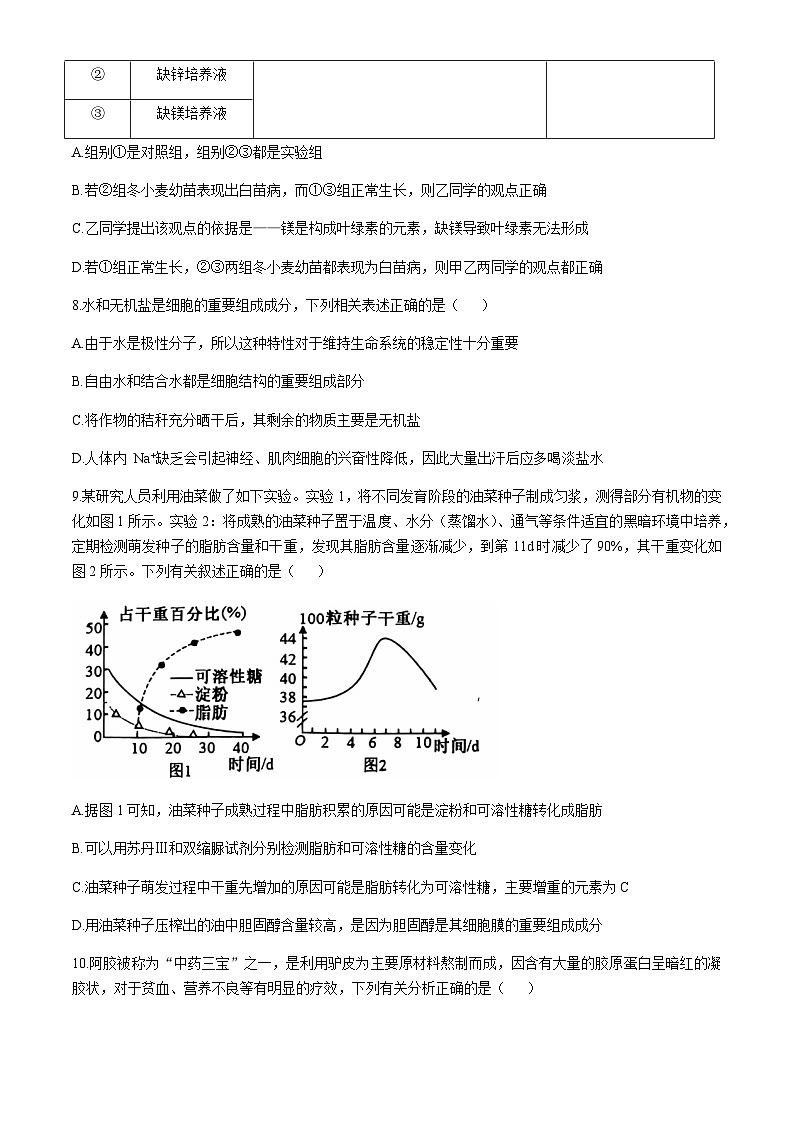 湖北省六所名校2024-2025学年高一上学期11月联考试题生物含答案第3页