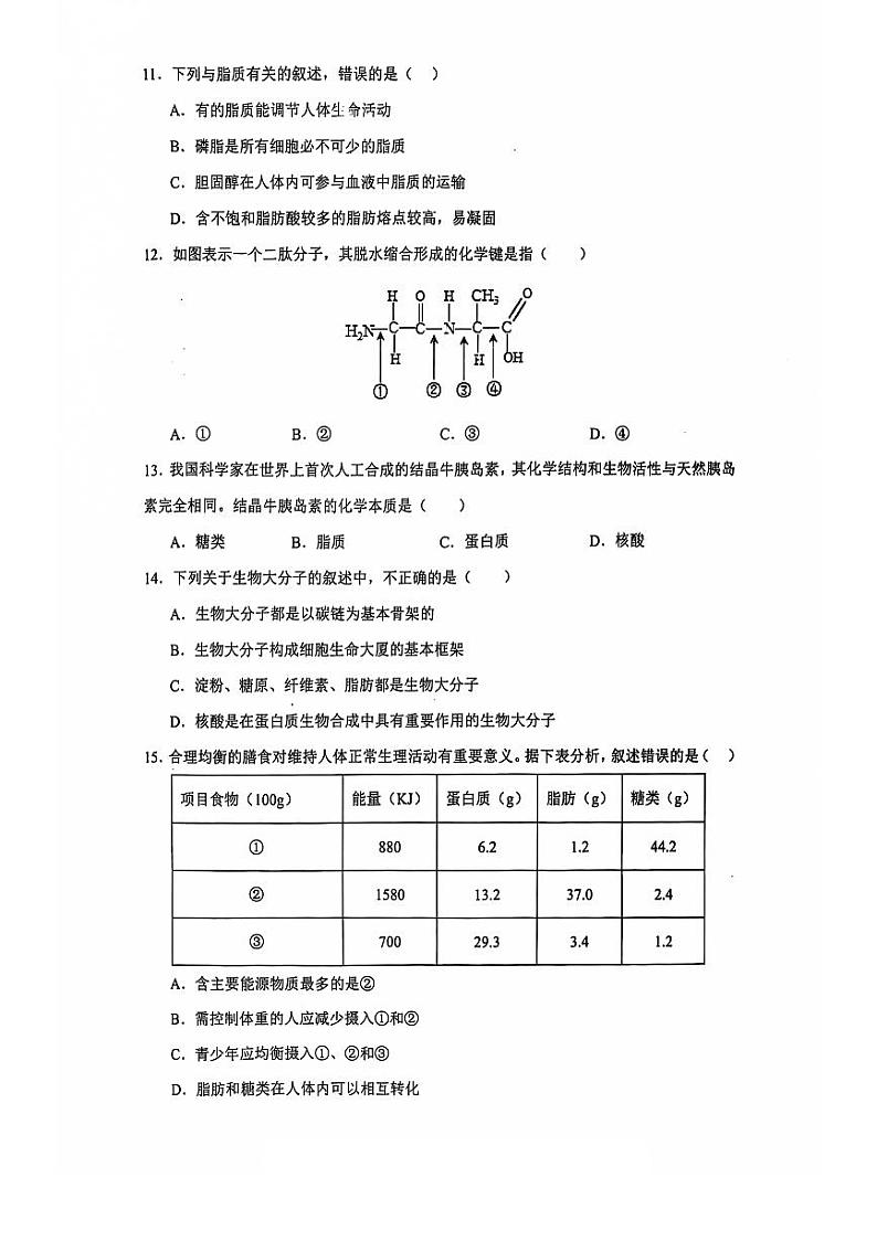 湖北省部分重点高中2024-2025学年高一上学期10月联考试题生物含答案第3页