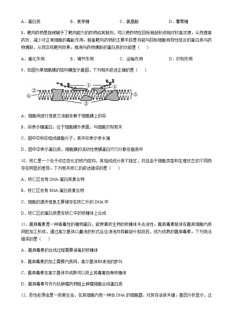 辽宁省锦州市重点高中2024-2025学年11月期中考试生物（无答案）第3页