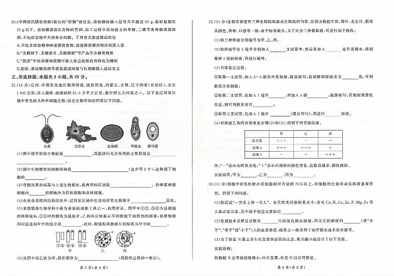 辽宁省鞍山市重点高中2024-2025学年高一上学期10月月考试题生物含答案第3页