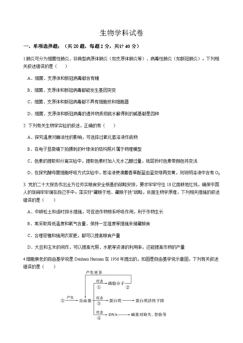 云南省昆明市2024-2025学年高二上学期第二次月考试题生物生物试题含答案第1页