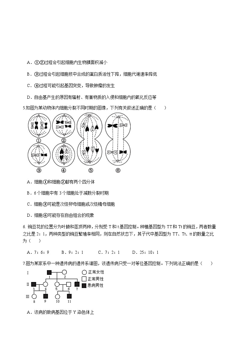 云南省昆明市2024-2025学年高二上学期第二次月考试题生物生物试题含答案第2页