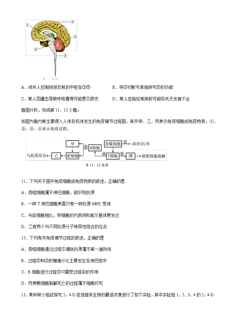 浙江省部分重点高中2024-2025学年高二上学期11月期中考试生物含答案第3页